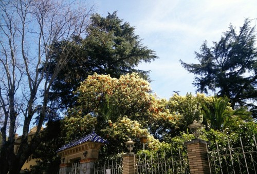 Unión de dos barrios: Puerta Bonita - Bellas Vistas, 3 de abril de 2015