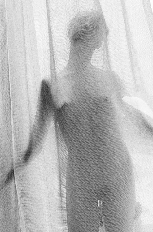allanfredrick:  Moire
