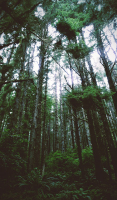 brutalgeneration:  giants by Dangerous…Dan