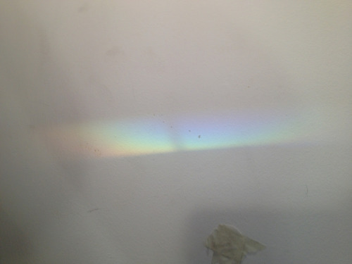 king-pale:Rainbows are cute x