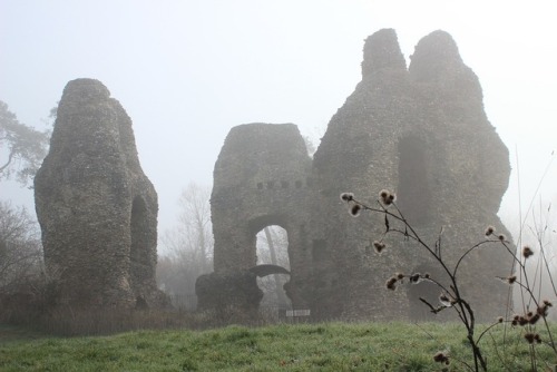 virtuallyinsane: Odiham Castle, Hampshire, United Kingdom