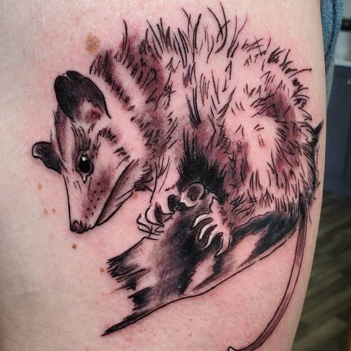 <p>Cute little #opossum done for my oldest son last week!   Thanks Alex, love you! <br/>
.<br/>
#ladytattooer #thephoenix #copperphoenix #shelbyvilleindiana #indianapolistattoo #indylocal #do317 #waverlycolorco #fkirons #indytattoo #industryinks #yournewfavoriteink #artistictattoosupply #wearesorrymom #possum #wildlife #woodland #blackandgray #animals  (at Shelbyville, Indiana)<br/>
<a href="https://www.instagram.com/p/CRCCZNlrppm/?utm_medium=tumblr">https://www.instagram.com/p/CRCCZNlrppm/?utm_medium=tumblr</a></p>