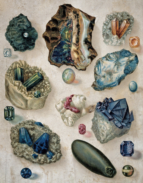 clawmarks: Geology: various uncut gemstones, and the substrate in which they are found - via Wellcom