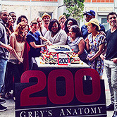 loverandprey:  Grey’s Anatomy 200th Episode Celebration 