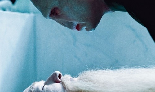 magic-tributes-from-district9-34:  Dumbledore and Voldemort Remember who the real
