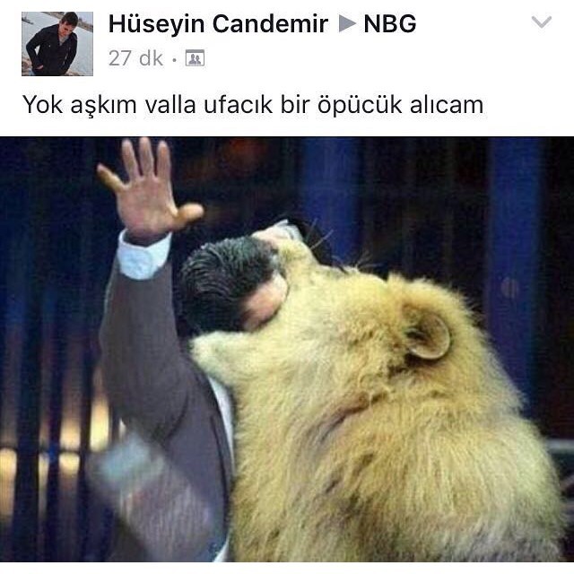 Yok aşkım valla ufacık bir...