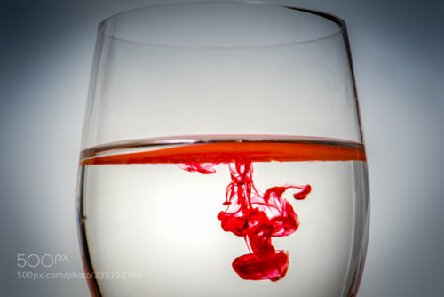 Blood in the water by davidabbs