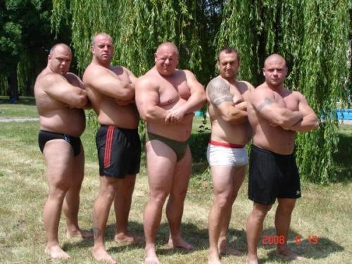 superbears:  The two on the left and the one on the far right