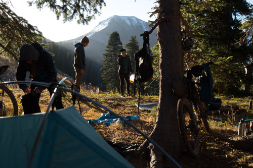 image of a group of people setting up a camp spot