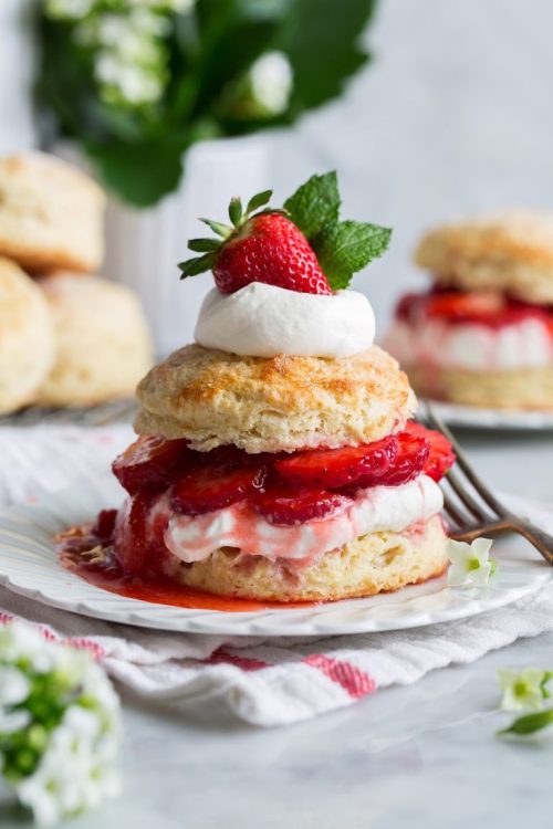 sweetoothgirl: Strawberry Shortcake Desserts (recipes 1, 2, 3, 4, 5, 6, 7, 8, 9, 10) 