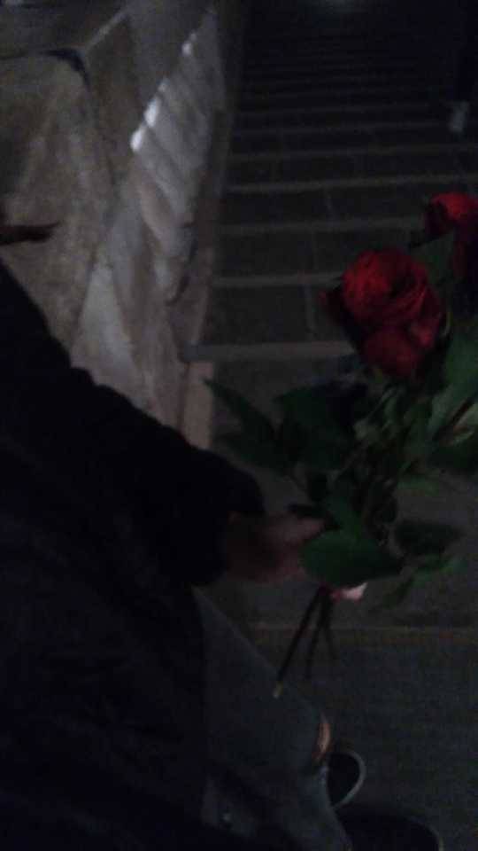 Featured image of post Immagini Rose Rosse Tumblr