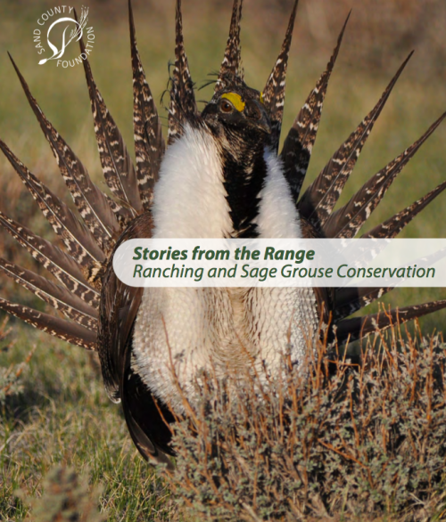 usda-nrcs:NewReport Highlights Ranchers Restoring Habitat for Sage GrouseAldo Leopold once said, “Co
