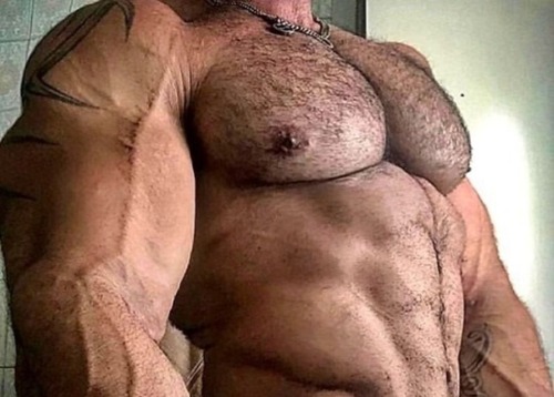 Packed Pecs