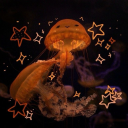 https-moonzilla - *moon*