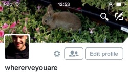 bambi-layouts:  ✧ like/reblog if you save, please✧ credits here and do not steal!