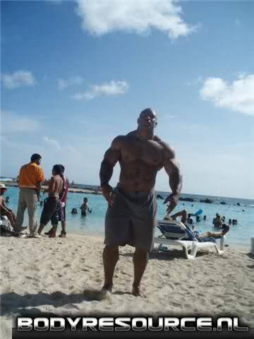 dragonXXL