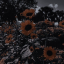 artistjpwriter - J_Writer_P