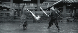 guts-and-uppercuts:  Hero (2002) - Jet Li vs Donnie Yen 