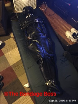 thebondageboss:  Monday, September 26, 2016 8:47 PM  The Seattle pig is in a Zen bondage state listening to pig files, being fed poppers and enjoying the rubber bondage. The pig is a true rubberpigobject. 