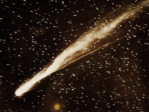 poboh: Astoronomy Comet, 1908, Edward Emerson Barnard (1857 - 1923)  - Vintage gelatin silver print -