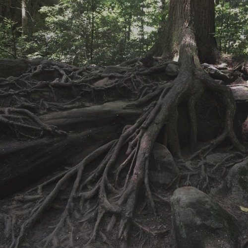 Hocking Hills Ohio IG: katiifirecat