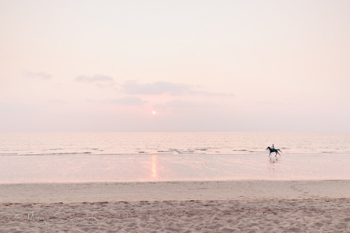 Horseback Riding @ Sunset