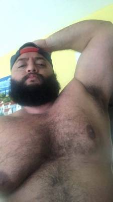 Bear_Hairy