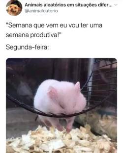 brutamente-meiga: