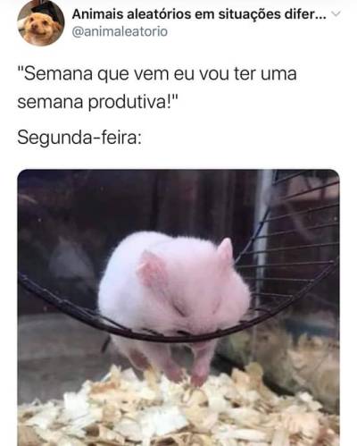 brutamente-meiga: