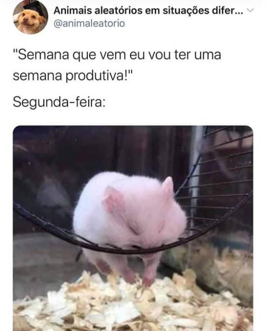brutamente-meiga: