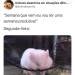 brutamente-meiga: