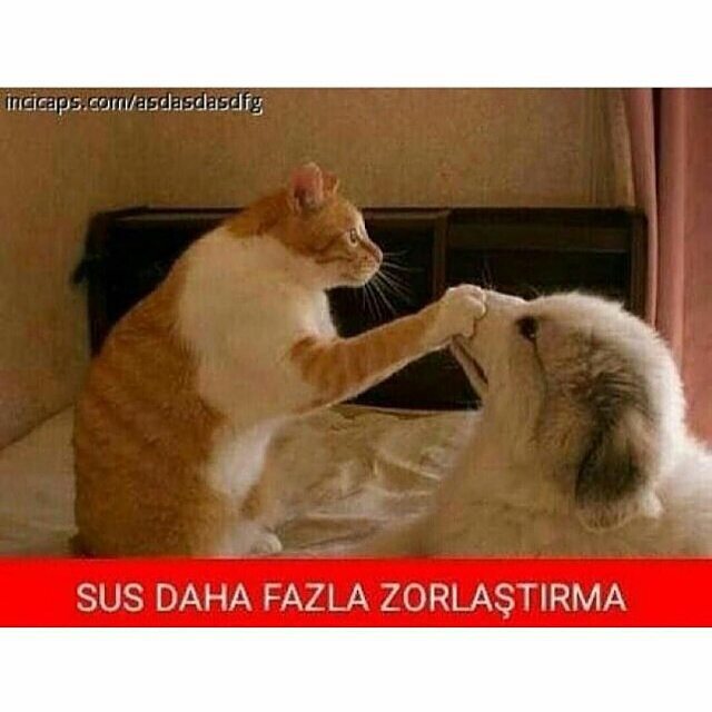 SUS DAHA FAZLA ZORLAŞTIRMA...