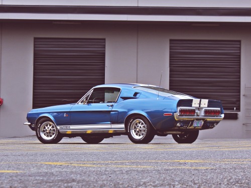 coffeeandspentbrass:  theoldiebutgoodie:  1968 Shelby Mustang GT500KR  Oh good god, it’s back. 