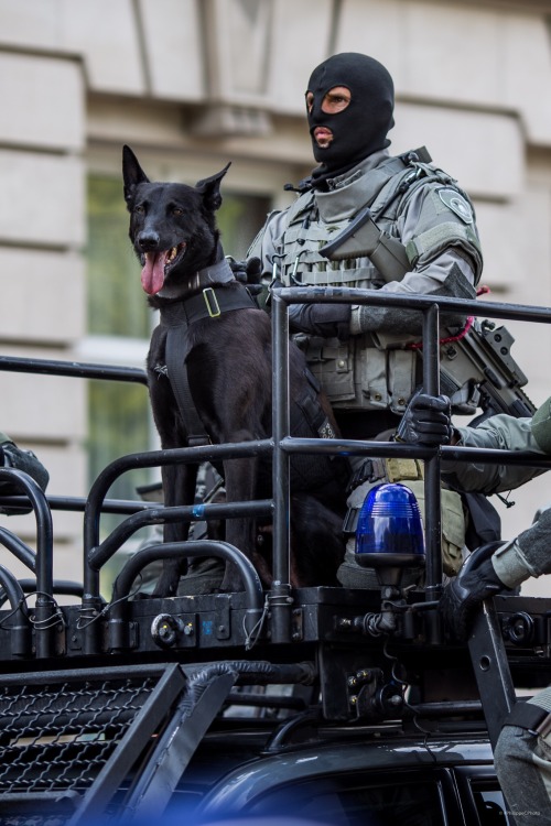 Belgian DSU operator ft. Dog