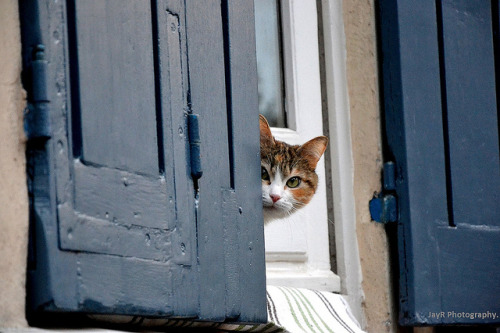 cybergata:This Parisian found the camera a bit hard to resist. by JayR Photos on Flickr.