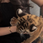 lexyaui