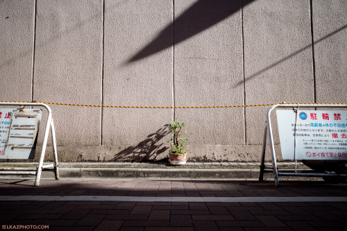 Sunbathing, Ueno 上野