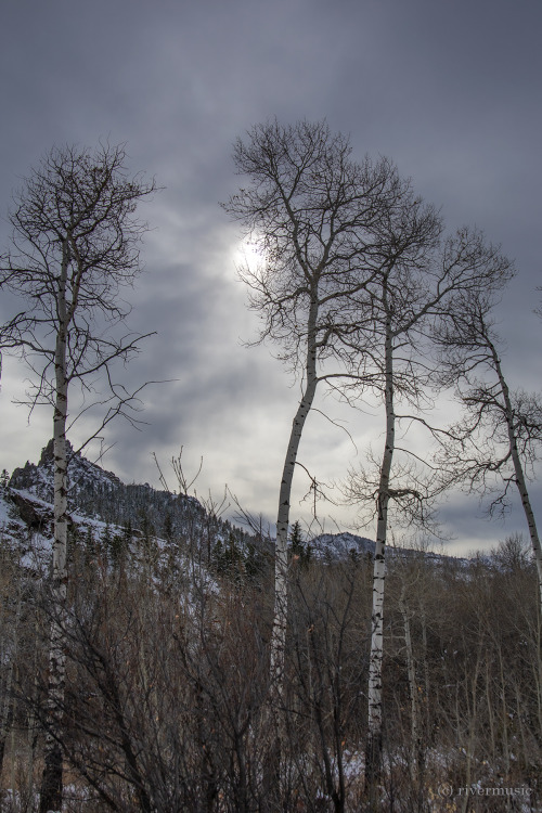 Shorter Days; the sun sets through tall aspen and soft clouds. &copy; riverwindphotography, Octo