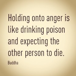 dominantlife:  Holding onto anger is like drinking poison and expecting the other person to die. - Buddha