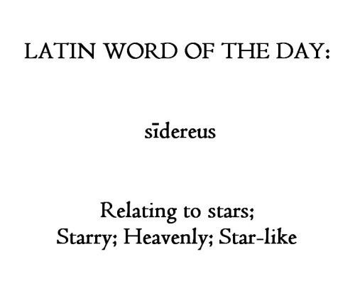 To The Stars Latin