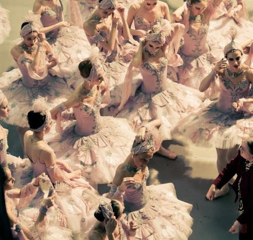 katbot:Mikhailovsky Ballet dancers in ‘Le Corsaire.’ 