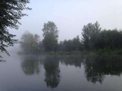 Morning Mist, La Londe, France.