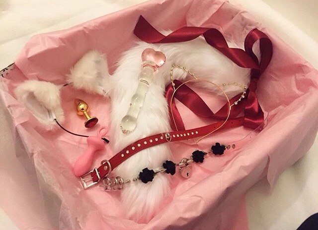 anesthesiakitty:  A little gift for ur princess 🐩🍥🌸 