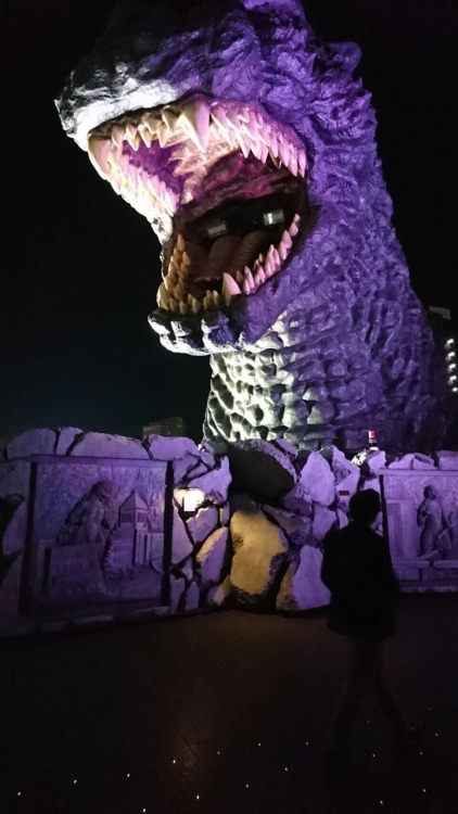 jimpluff: Jimpluff vs Godzilla (the dark silhouette is me)