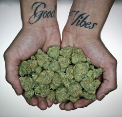 Grow Your Weed