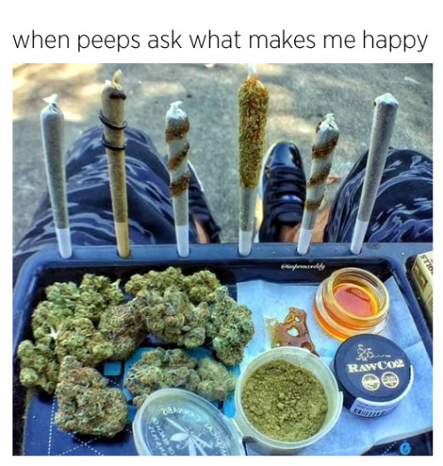 Stoner Party