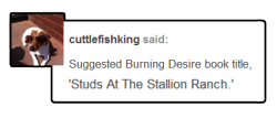 thedenofravenpuff: Studs At The Stallion