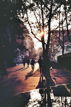 r2&ndash;d2:  Sara Roosevelt Park 