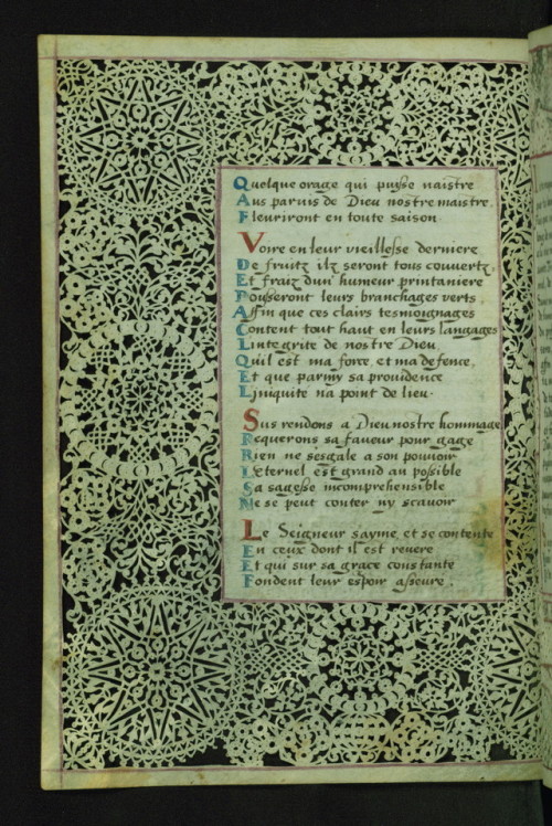 Lace Book of Marie de’ Medici, Lace margins, Walters Manuscript W.494, Folio 16v by Walters Ar