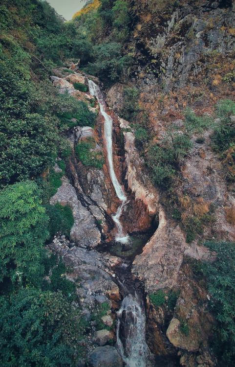 oneshotolive:  Unnamed Waterfall, Mussoorie, Uttarakhand, India 1832x2856 [OC] 📷: EpsilonSkorpius69 